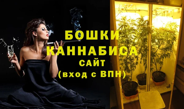 МДПВ Лагань