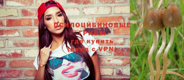 МДПВ Лагань