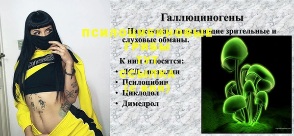 МДПВ Лагань